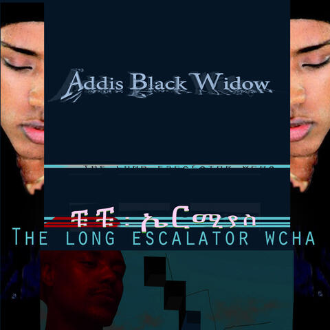 The Long Escalator Wcha