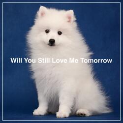 Will You Still Love Me Tomorrow