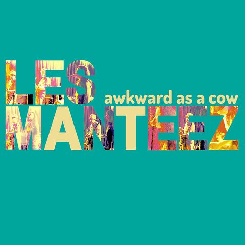 Awkward as a Cow