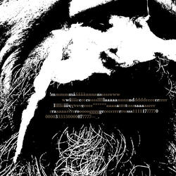 Afflicted-excerpt (Live at Sara Rogers)