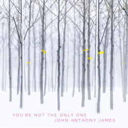 You're Not the Only One (1st 4-Track Demo)