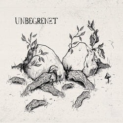 Unbegrenzt
