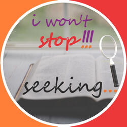 I Won't Stop Seeking