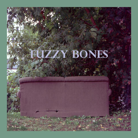 Fuzzy Bones