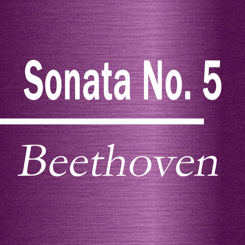 Sonata No. 5 C minor, Opus 10-1 1. Movement Allegro molto e con brio