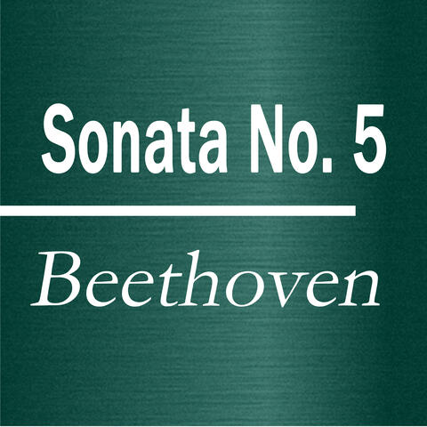 Sonata No. 5 C Minor Opus 10 2. Movement Adagio Molto