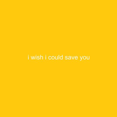 I Wish I Could Save You