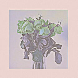 Lonely Ocean Sailing