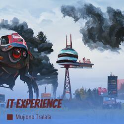It Experience