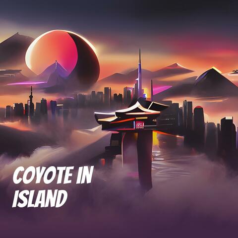 Coyote in Island