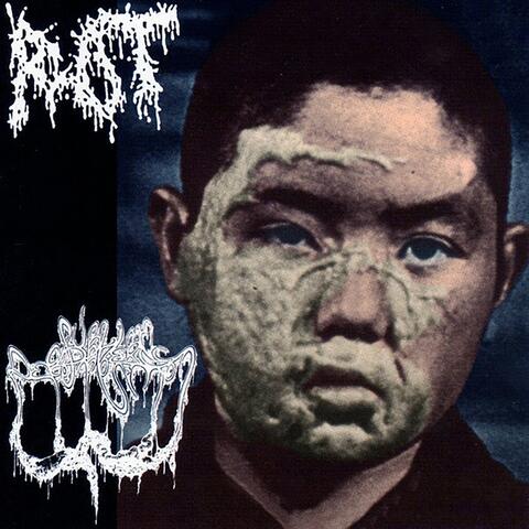 Split with Rot