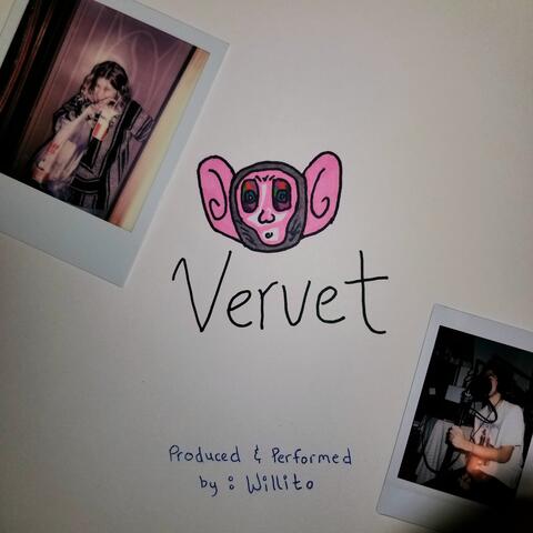 Vervet