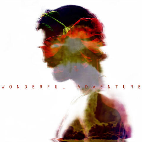 Wonderful Adventure