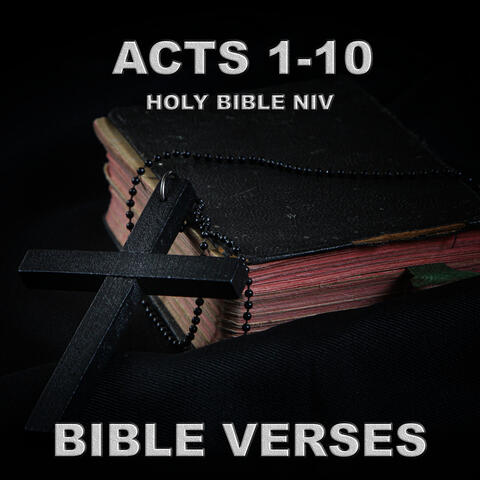 Holy Bible Niv Acts 1-10
