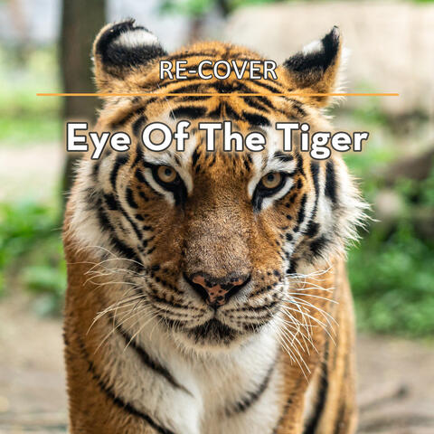 Eye Of The Tiger (Unplugged)