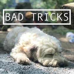 Bad Tricks
