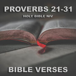 Holy Bible N.I.V. Proverbs 24, Pt. 2