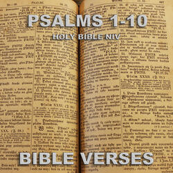 Holy Bible Niv Psalm 8