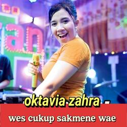 Wes Cukup Sakmene Wae