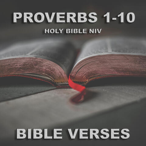 Holy Bible Niv Proverbs 1-10