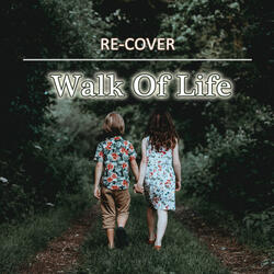Walk Of Life (Unplugged)