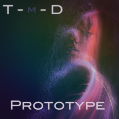 Prototype