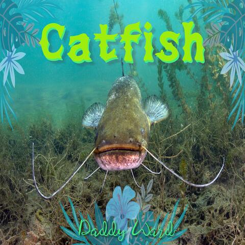 Catfish