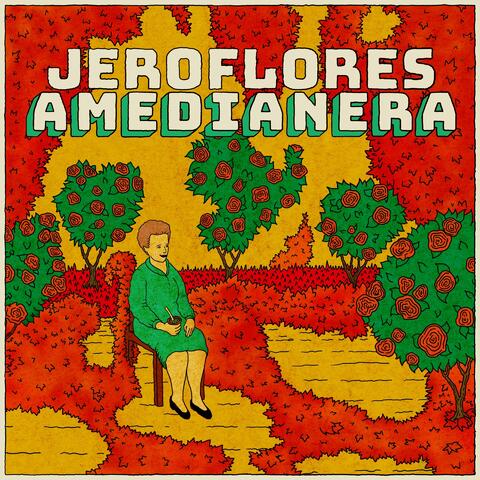 Amedianera