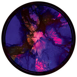 When The Morning Comes