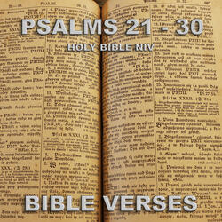 Holy Bible N.I.V. Psalms 28