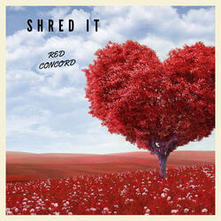 Shred It