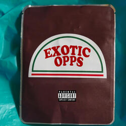 Exotic Opps