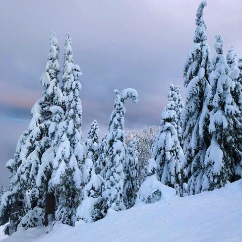 Song For a Winter’s Night