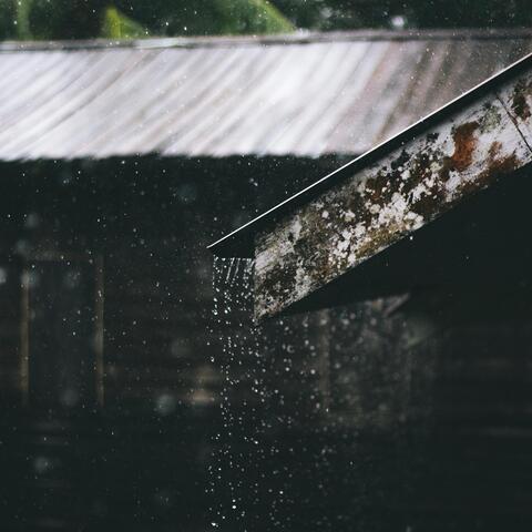 Anime Rain
