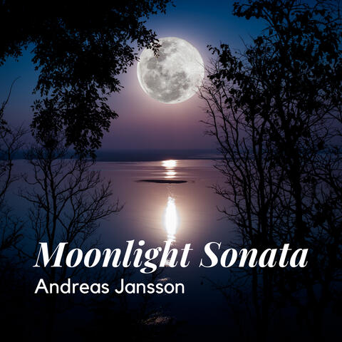 Moonlight Sonata (1st Movement)