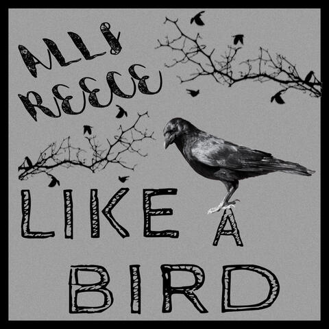Like A Bird