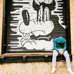 Where Are The Violins?