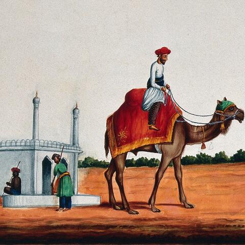 Riding My Camel