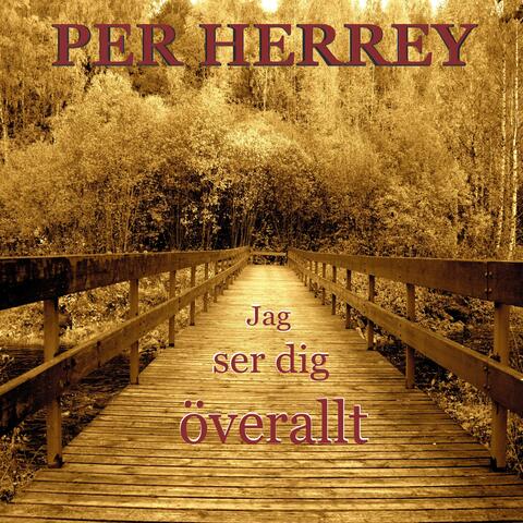 Jag ser dig överallt