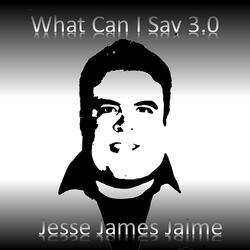 What Can I Say 3.0 (Original Radio Edit)