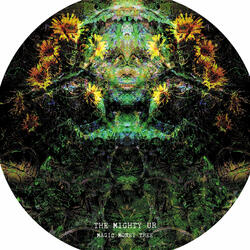 Receiver Deceiver (Freedumb Mix)