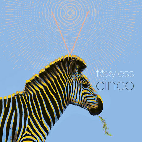 Cinco ( V )