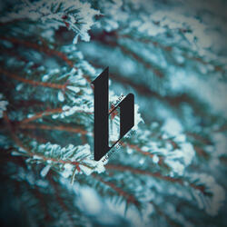 Winter Wonderland