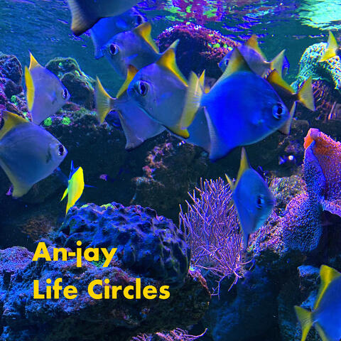 Life Circles
