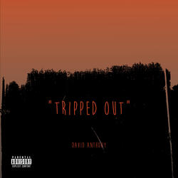 Tripped out