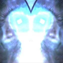Vision