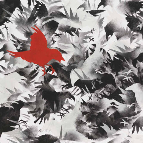 Birds of America