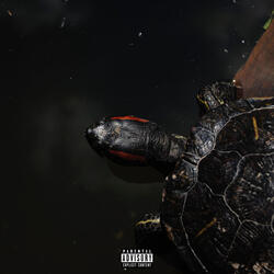 Turtle Soup