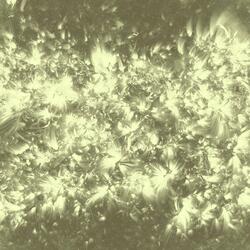 Under Star and Stone