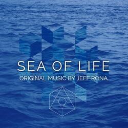 Our Ocean